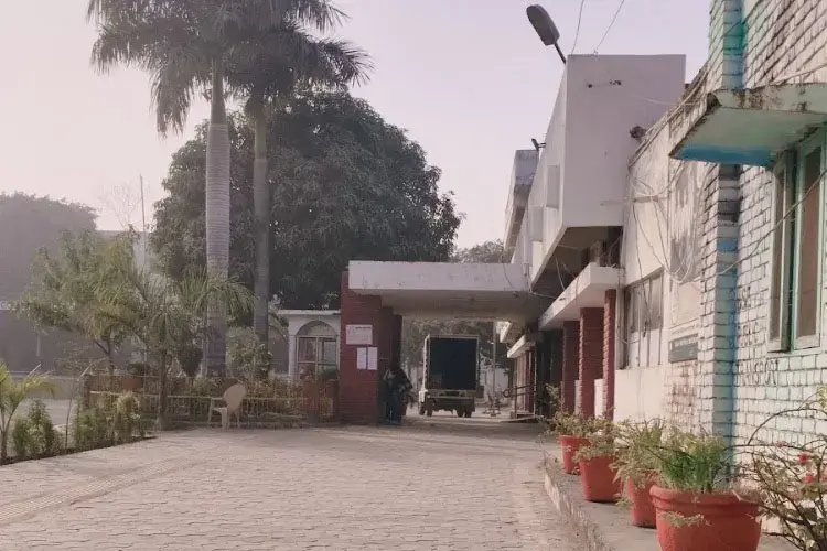 Government College, Gurgaon
