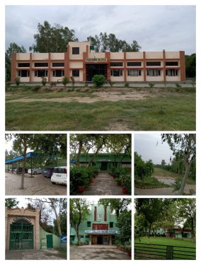 Government College Nalwa, Hisar