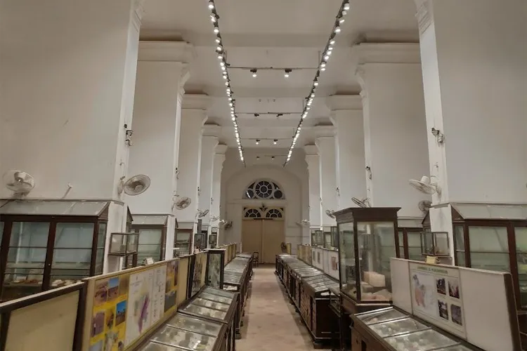 Government College of Art and Craft, Kolkata