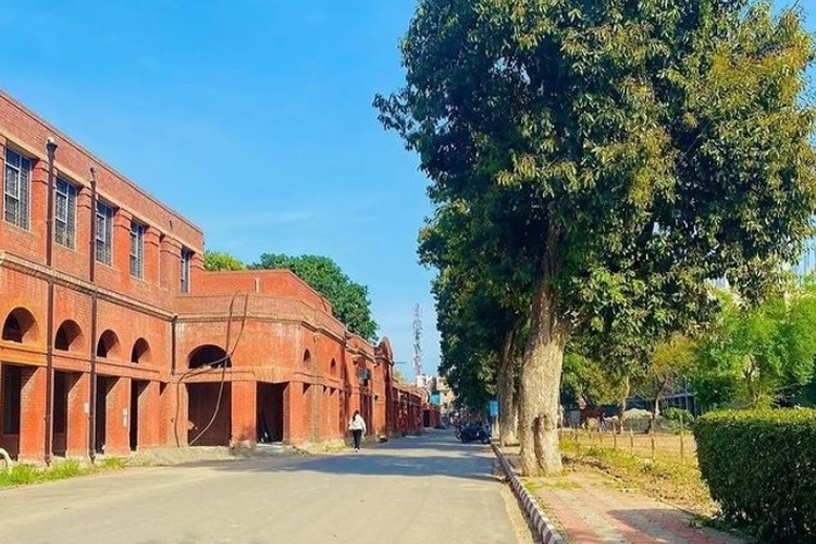 Government Medical College, Amritsar