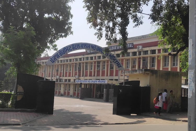 Government Medical College, Amritsar