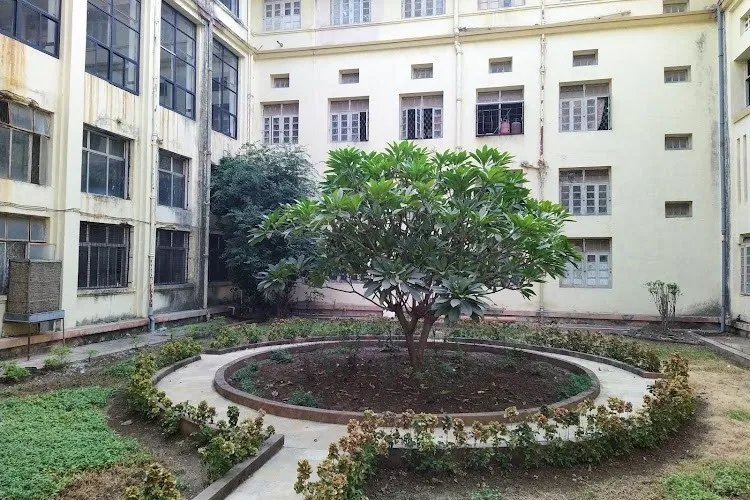 Government Medical College, Nagpur