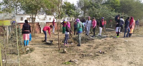 Govt. College for Women, Hisar