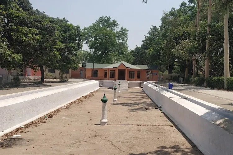 Govt. Raza Post Graduate College, Rampur