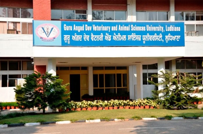 Guru Angad Dev Veterinary and Animal Sciences University, Ludhiana