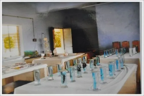 G.V.C College of Education, Vellore