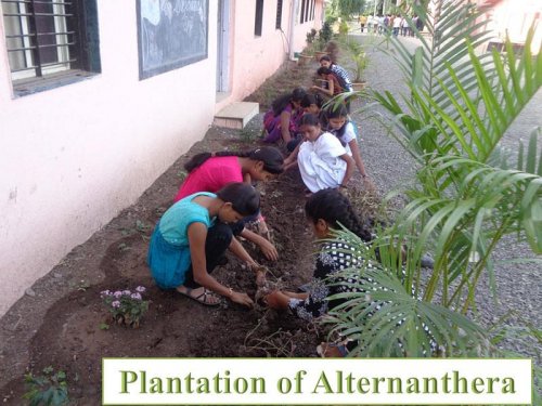 H. H. Sri Sri Murlidhara Swamiji College of Horticulture, Nashik