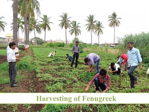 H. H. Sri Sri Murlidhara Swamiji College of Horticulture, Nashik