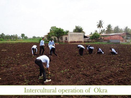 H. H. Sri Sri Murlidhara Swamiji College of Horticulture, Nashik