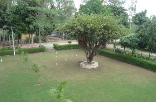 HDSD College, Jyotiba Phule Nagar