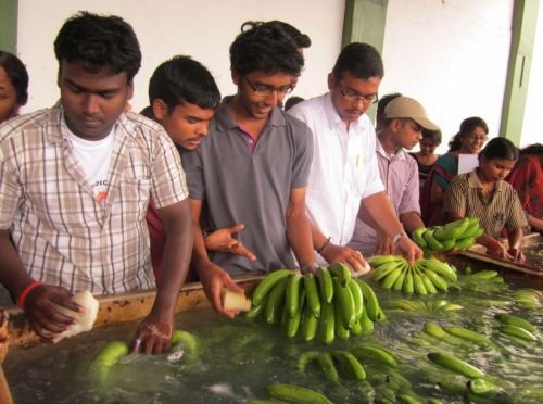 Horticultural College and Research Institute, Coimbatore