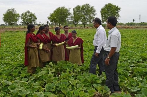 Horticultural College and Research Institute for Women, Tiruchirappalli