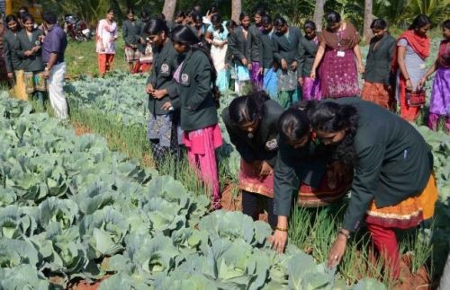 Horticultural College and Research Institute for Women, Tiruchirappalli