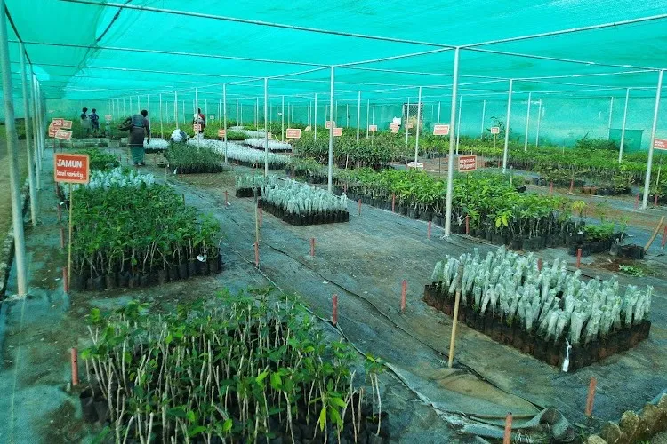 Horticultural College and Research Institute, Madurai