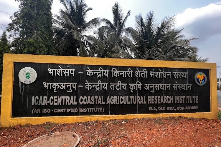ICAR-Central Coastal Agricultural Research Institute, North Goa