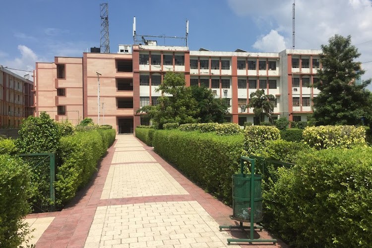 IIMT College of Engineering, Greater Noida