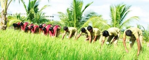 Imayam Institute of Agriculture and Technology, Tiruchirappalli