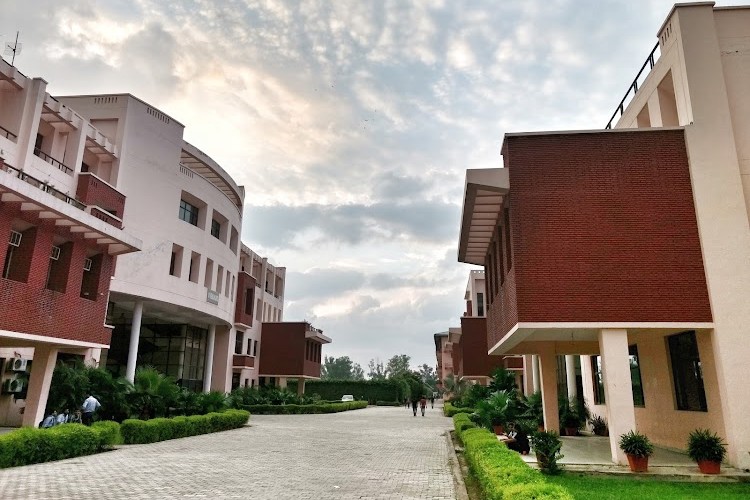 IMS Engineering College, Ghaziabad