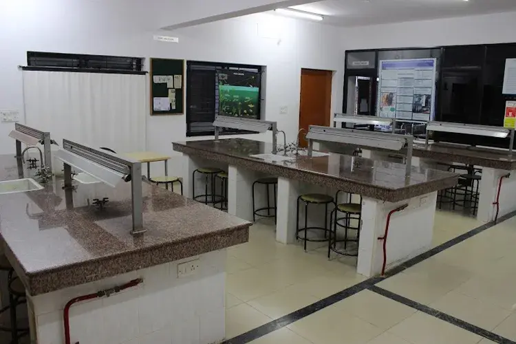 Indian Academy Group of Institutions, Bangalore