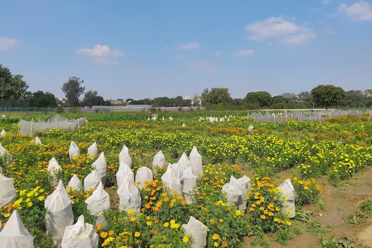 Indian Agricultural Research Institute, New Delhi