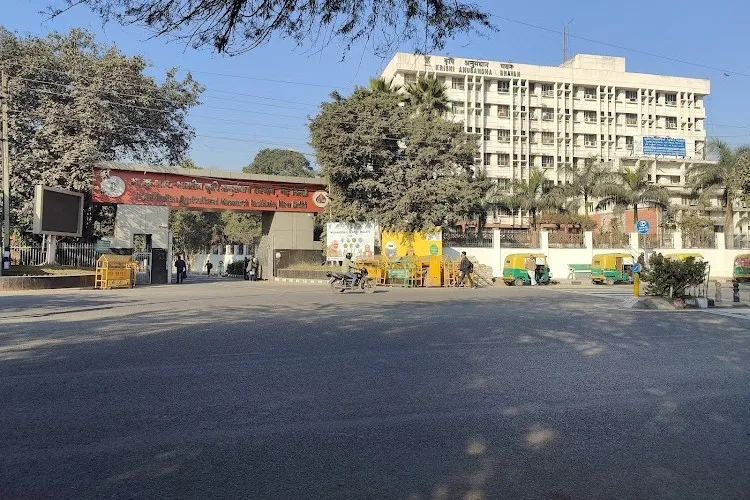 Indian Agricultural Research Institute, New Delhi
