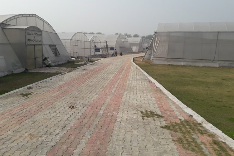 Indian Agricultural Research Institute, New Delhi