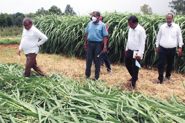 Indian Grassland and Fodder Research Institute, Jhansi