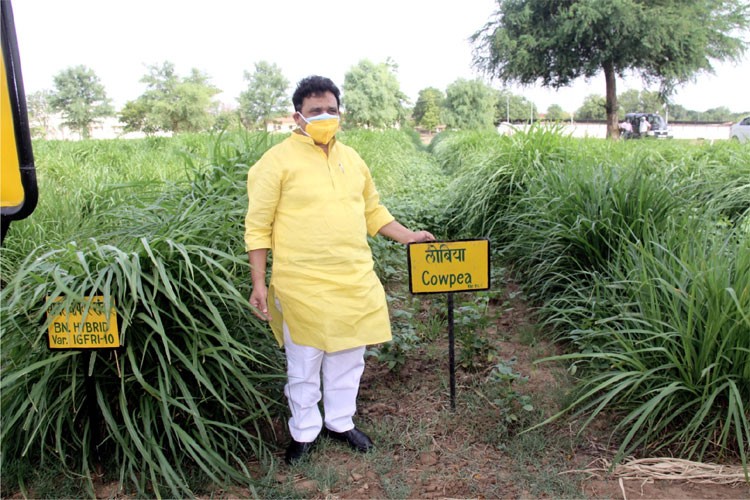 Indian Grassland and Fodder Research Institute, Jhansi