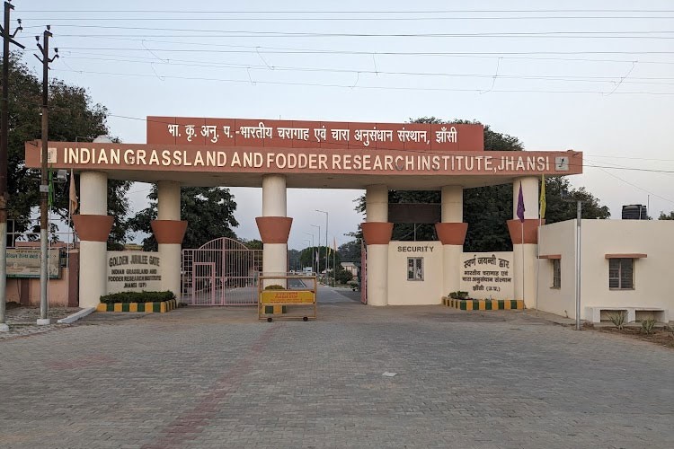 Indian Grassland and Fodder Research Institute, Jhansi