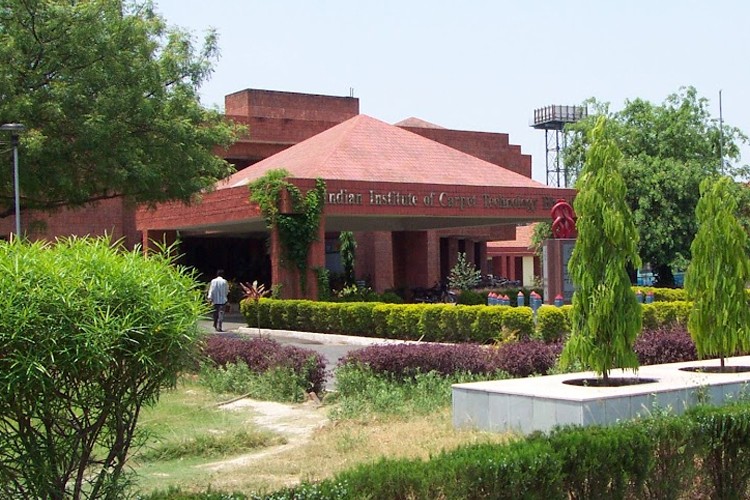 Indian Institute of Carpet Technology, Bhadohi