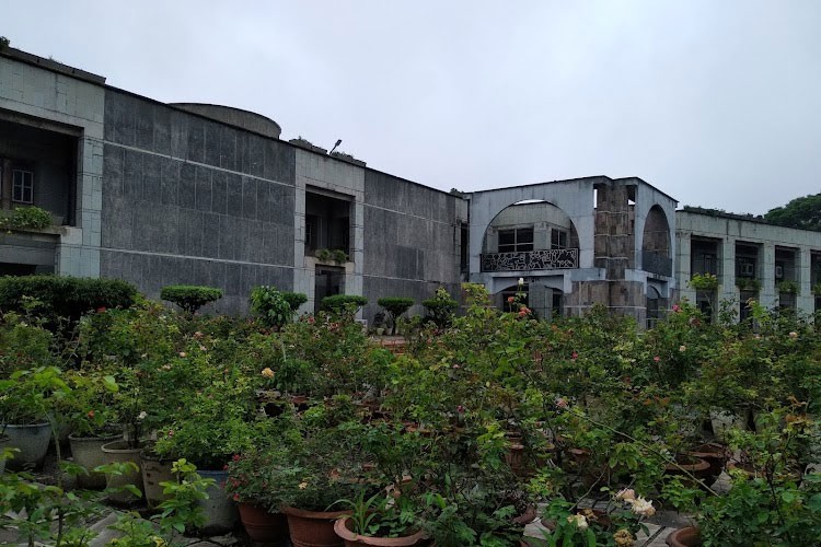 Indian Institute of Forest Management, Bhopal