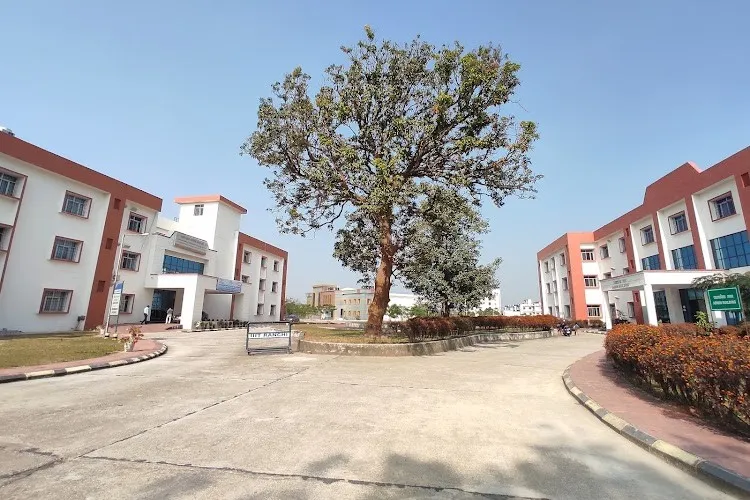 Indian Institute of Information Technology, Ranchi