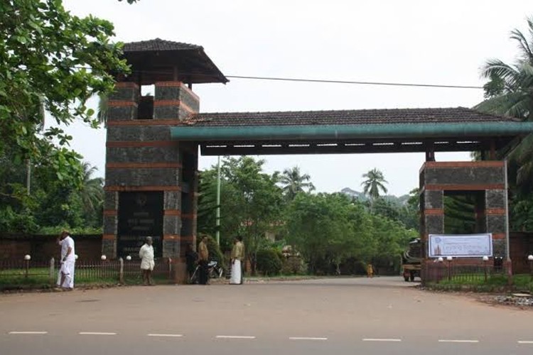 Indian Institute of Management, Kozhikode