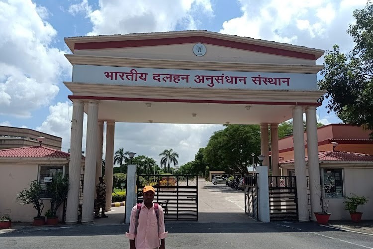 Indian Institute of Pulses Research, Kanpur