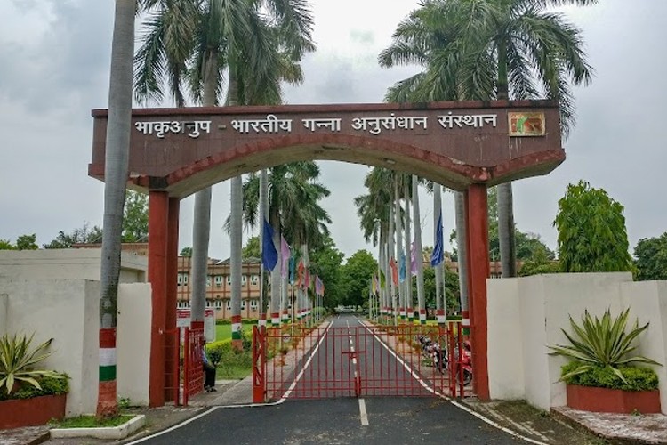 Indian Institute of Sugarcane Research, Lucknow