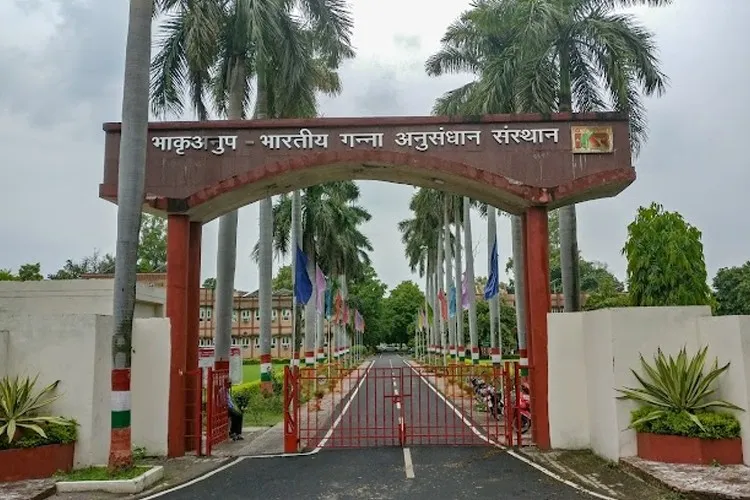 Indian Institute of Sugarcane Research, Lucknow