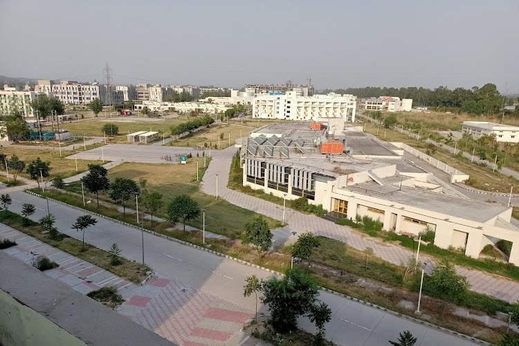 Indian Institute of Technology, Ropar