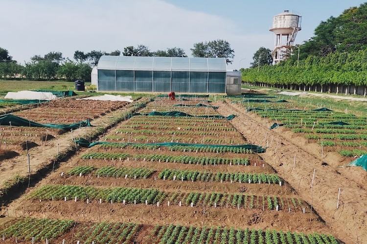 Indian Institute of Vegetable Research, Varanasi