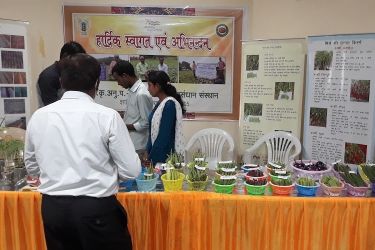 Indian Institute of Vegetable Research, Varanasi