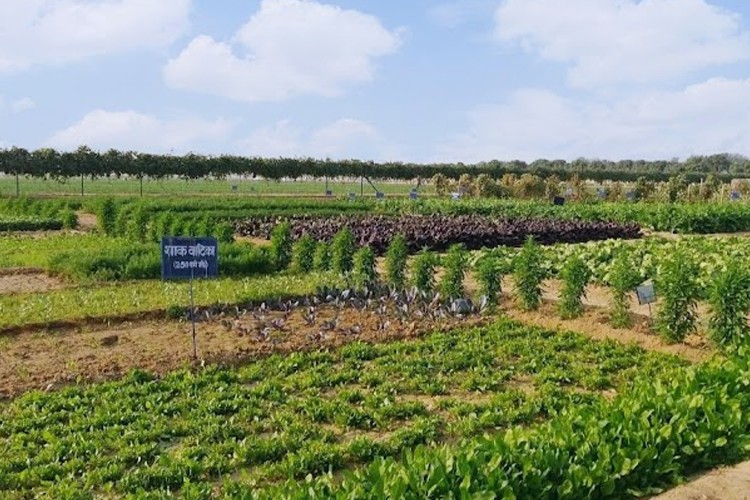 Indian Institute of Vegetable Research, Varanasi