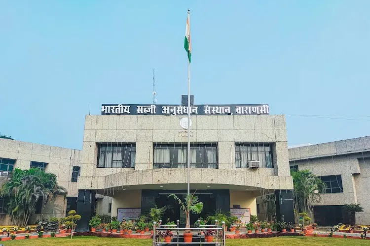 Indian Institute of Vegetable Research, Varanasi