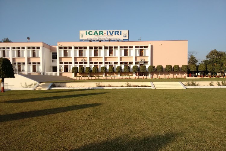 Indian Veterinary Research Institute, Bareilly