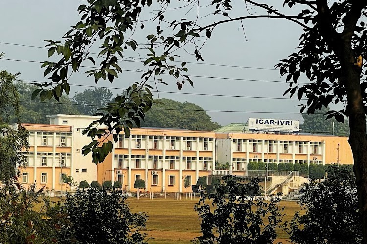 Indian Veterinary Research Institute, Bareilly