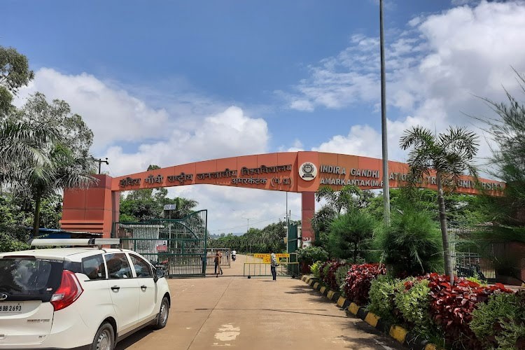 Indira Gandhi National Tribal University, Amarkantak