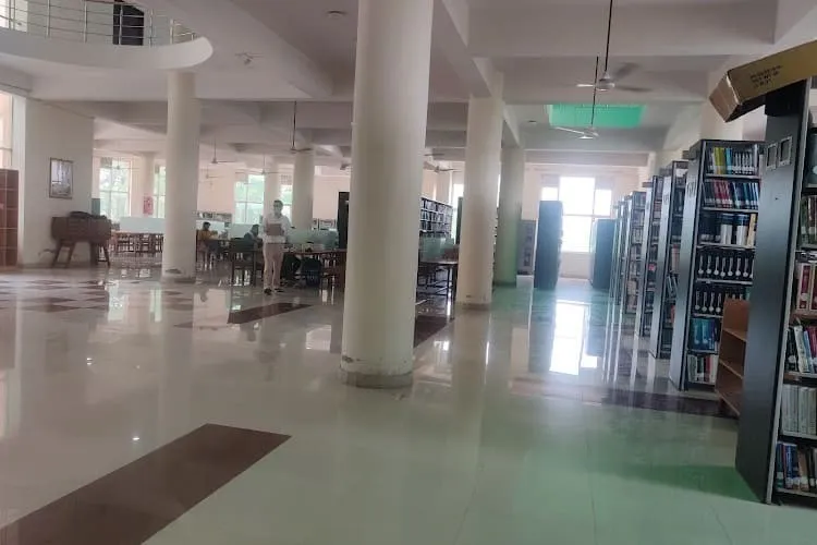 Indira Gandhi University, Rewari