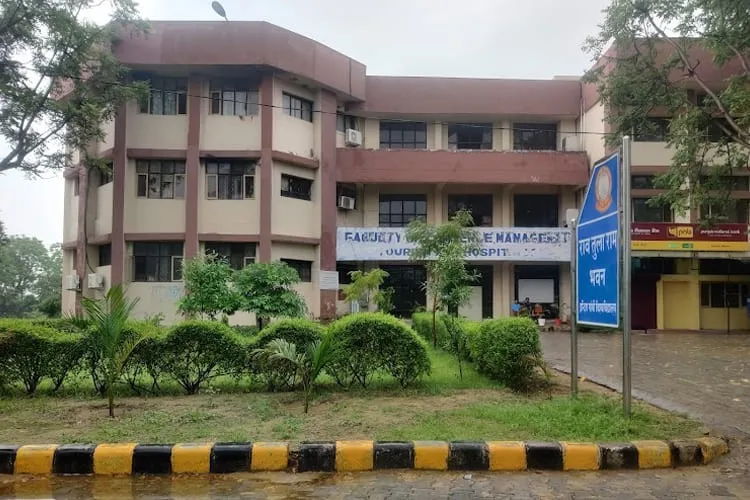Indira Gandhi University, Rewari