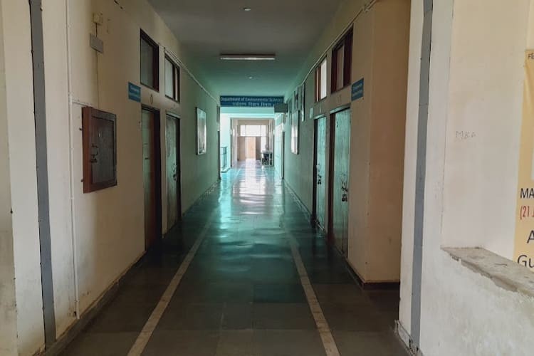 Indira Gandhi University, Rewari