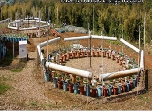 Institute of Himalayan Bioresource Technology, Palampur