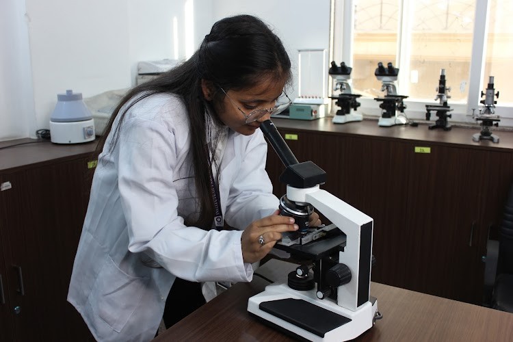 Institute of Paramedical Science and Management, New Delhi