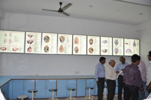 International Institute of Veterinary Education & Research, Rohtak